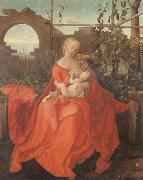 Albrecht Durer The Madonna with the Iris imitator of Albrecht Durer oil on canvas